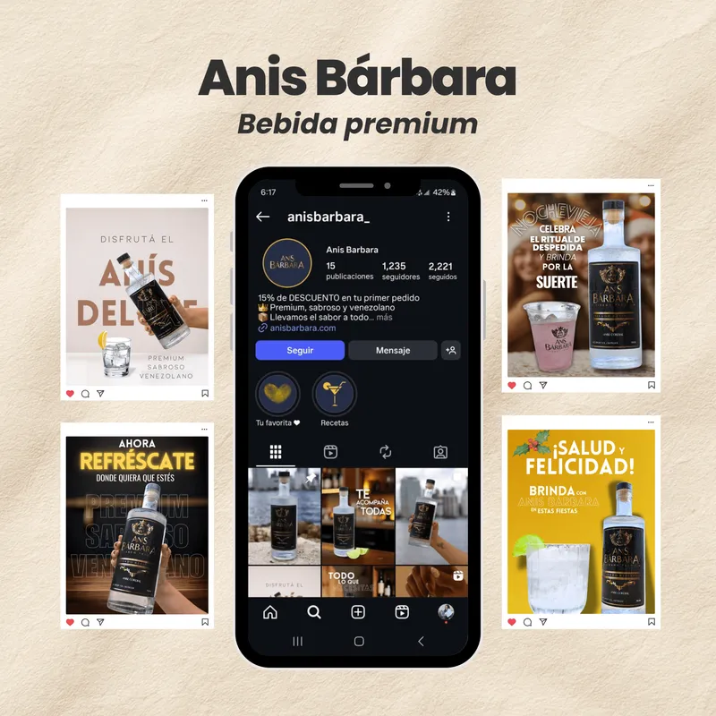 Project Anis Barbara