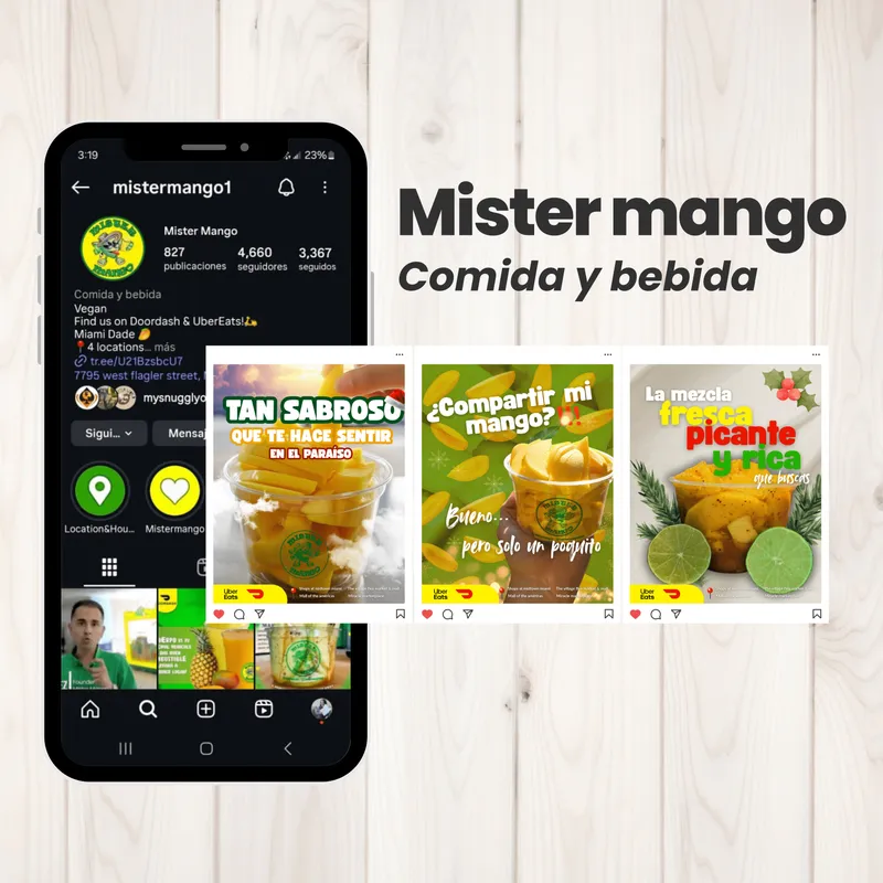 Project Mister Mango